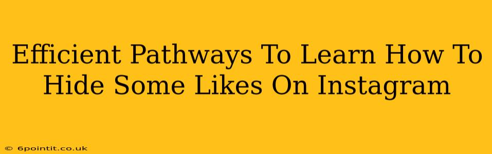 Efficient Pathways To Learn How To Hide Some Likes On Instagram