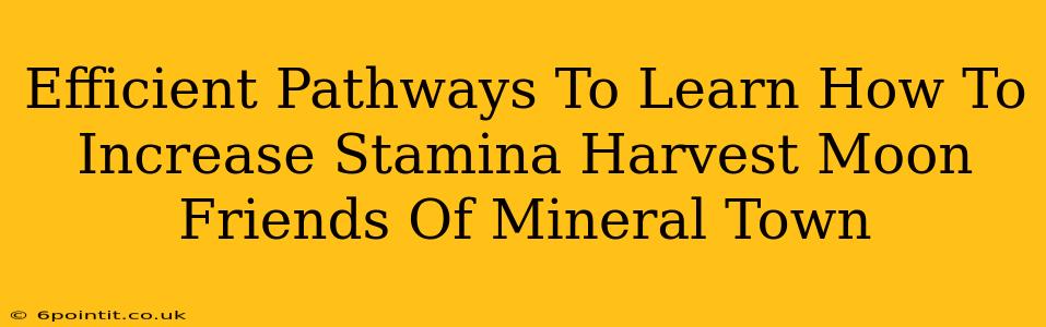 Efficient Pathways To Learn How To Increase Stamina Harvest Moon Friends Of Mineral Town