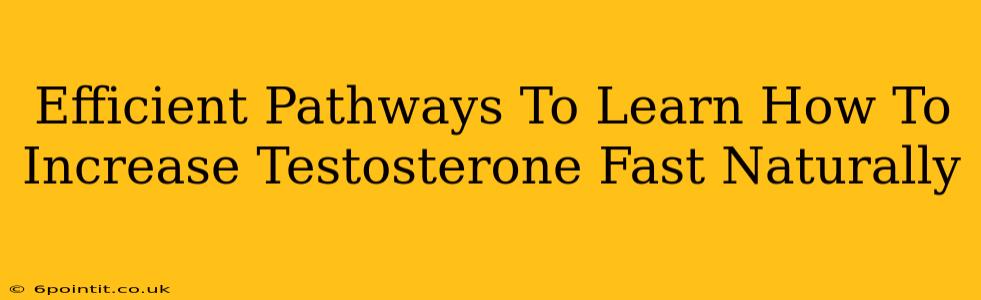 Efficient Pathways To Learn How To Increase Testosterone Fast Naturally