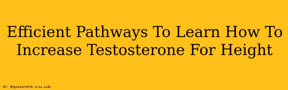 Efficient Pathways To Learn How To Increase Testosterone For Height