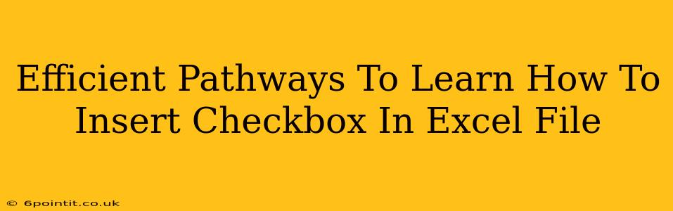 Efficient Pathways To Learn How To Insert Checkbox In Excel File