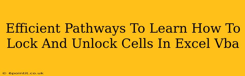 Efficient Pathways To Learn How To Lock And Unlock Cells In Excel Vba