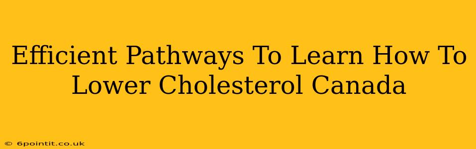 Efficient Pathways To Learn How To Lower Cholesterol Canada