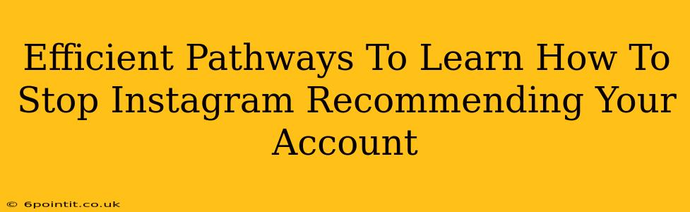 Efficient Pathways To Learn How To Stop Instagram Recommending Your Account