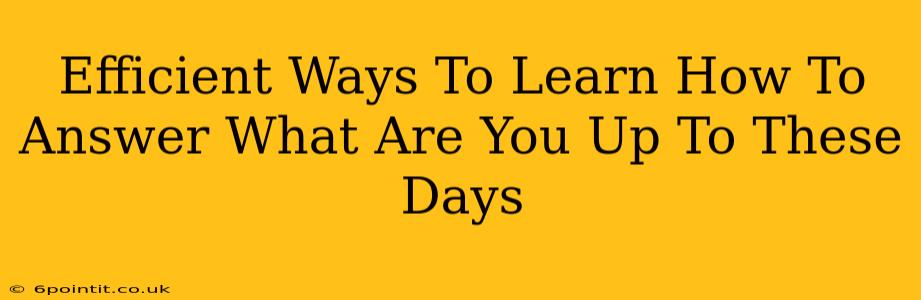 Efficient Ways To Learn How To Answer What Are You Up To These Days