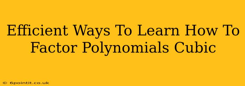 Efficient Ways To Learn How To Factor Polynomials Cubic