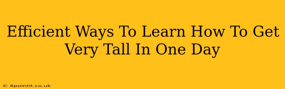 Efficient Ways To Learn How To Get Very Tall In One Day