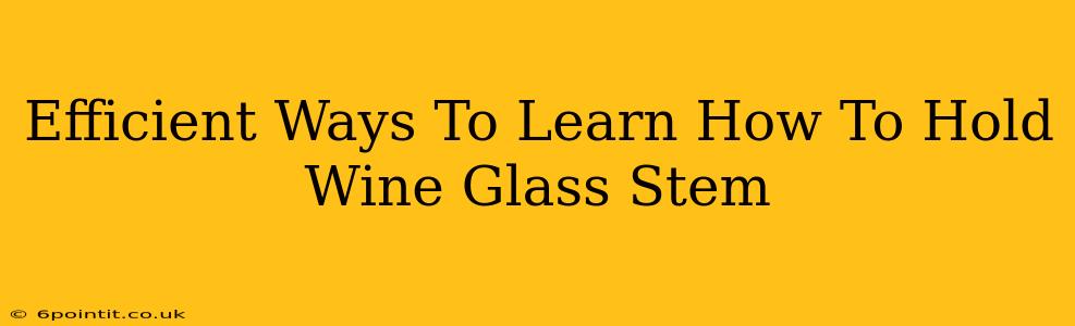 Efficient Ways To Learn How To Hold Wine Glass Stem