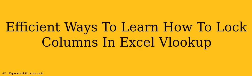 Efficient Ways To Learn How To Lock Columns In Excel Vlookup