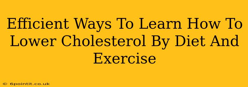 Efficient Ways To Learn How To Lower Cholesterol By Diet And Exercise