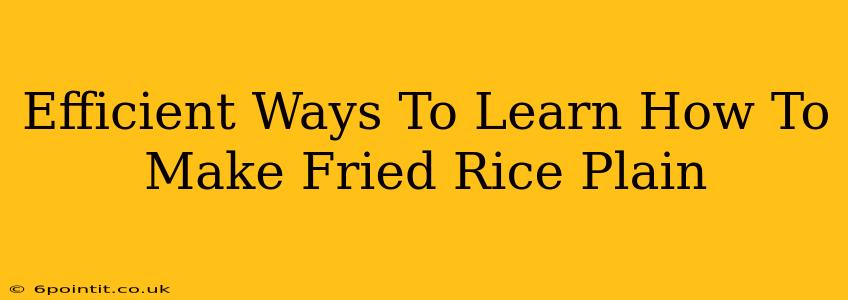 Efficient Ways To Learn How To Make Fried Rice Plain