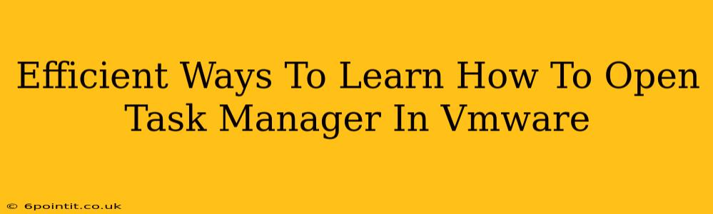 Efficient Ways To Learn How To Open Task Manager In Vmware