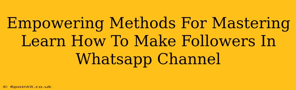 Empowering Methods For Mastering Learn How To Make Followers In Whatsapp Channel