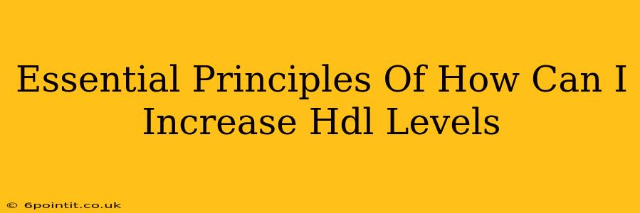 Essential Principles Of How Can I Increase Hdl Levels