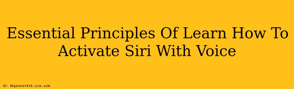 Essential Principles Of Learn How To Activate Siri With Voice