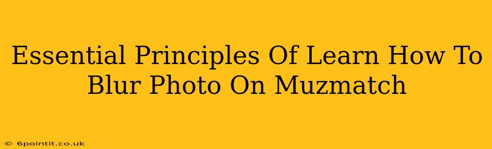 Essential Principles Of Learn How To Blur Photo On Muzmatch