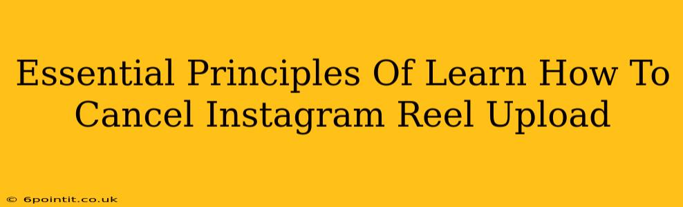 Essential Principles Of Learn How To Cancel Instagram Reel Upload