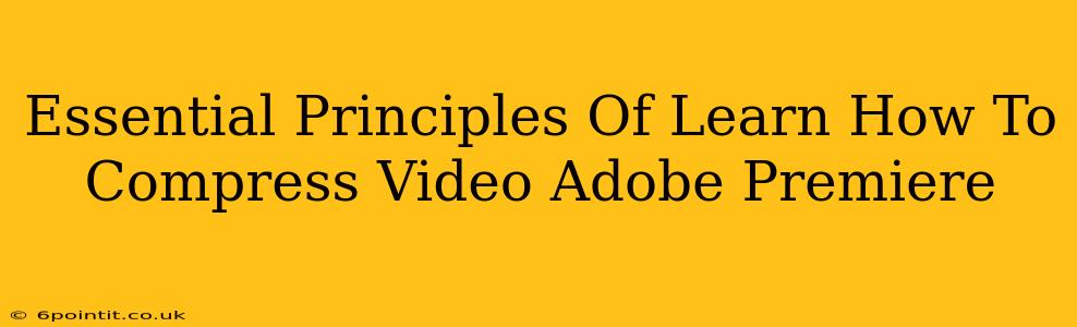 Essential Principles Of Learn How To Compress Video Adobe Premiere