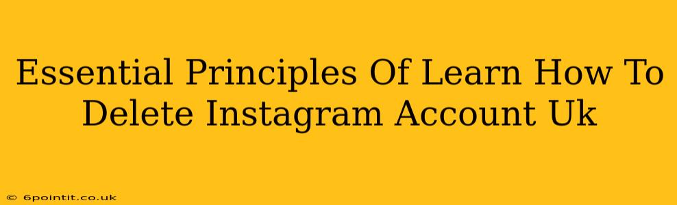 Essential Principles Of Learn How To Delete Instagram Account Uk