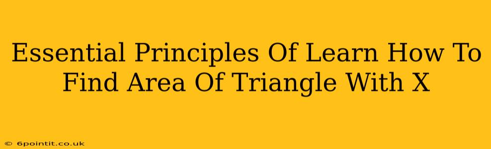 Essential Principles Of Learn How To Find Area Of Triangle With X