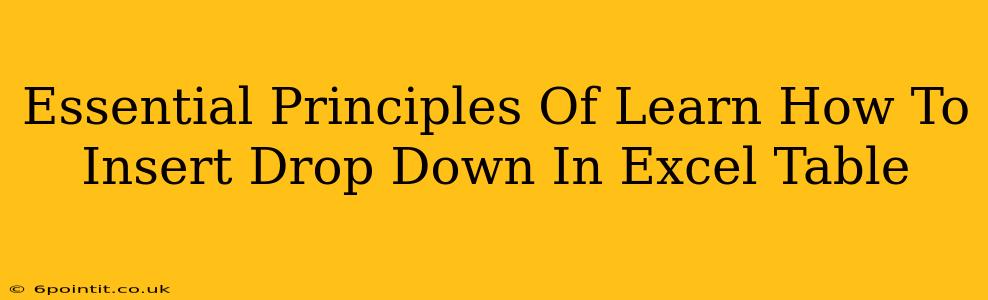 Essential Principles Of Learn How To Insert Drop Down In Excel Table