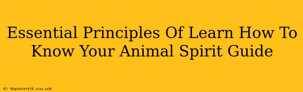 Essential Principles Of Learn How To Know Your Animal Spirit Guide