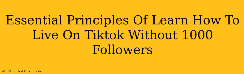 Essential Principles Of Learn How To Live On Tiktok Without 1000 Followers