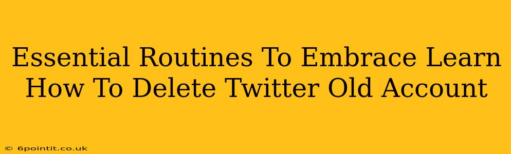 Essential Routines To Embrace Learn How To Delete Twitter Old Account