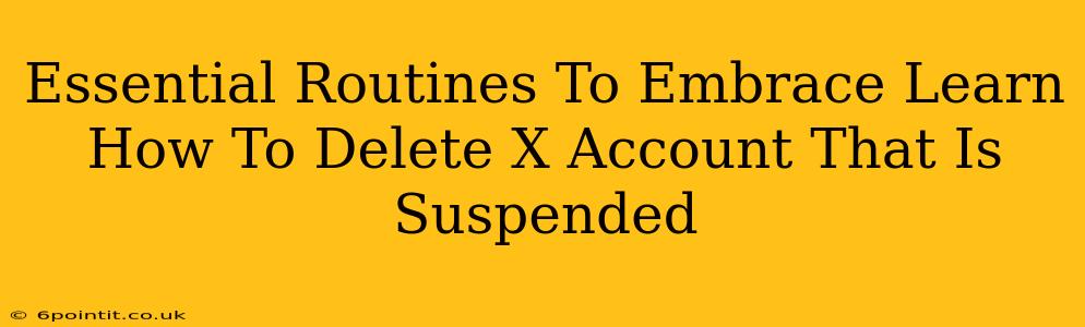 Essential Routines To Embrace Learn How To Delete X Account That Is Suspended