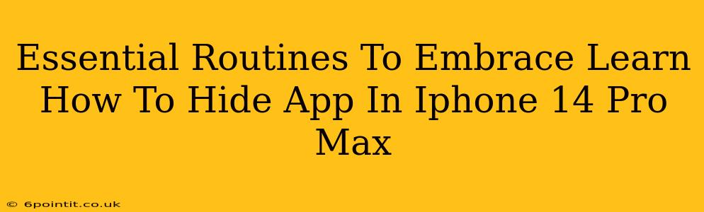 Essential Routines To Embrace Learn How To Hide App In Iphone 14 Pro Max