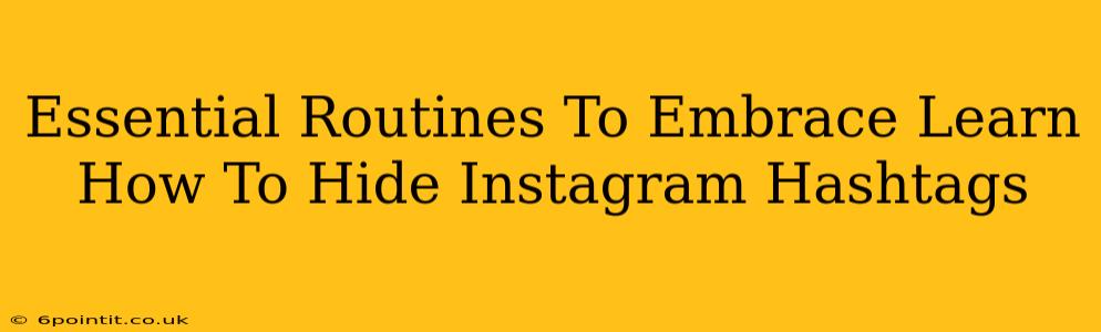 Essential Routines To Embrace Learn How To Hide Instagram Hashtags