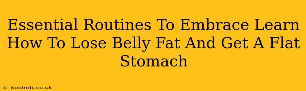 Essential Routines To Embrace Learn How To Lose Belly Fat And Get A Flat Stomach