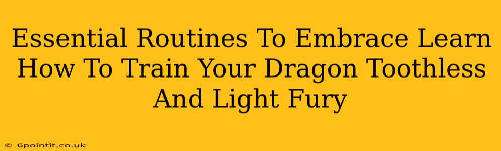 Essential Routines To Embrace Learn How To Train Your Dragon Toothless And Light Fury