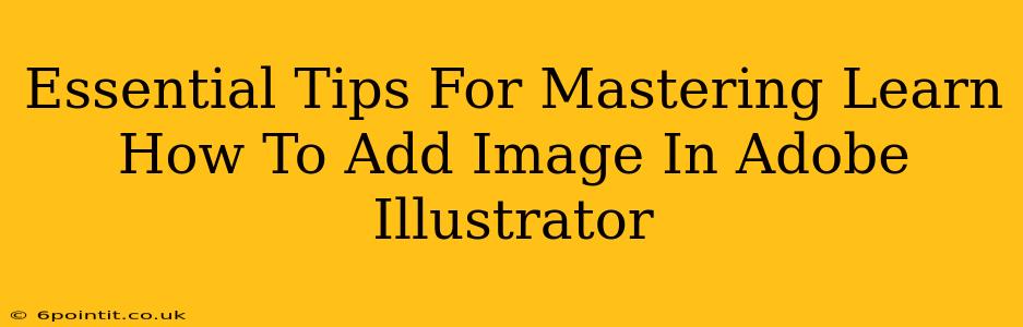 Essential Tips For Mastering Learn How To Add Image In Adobe Illustrator