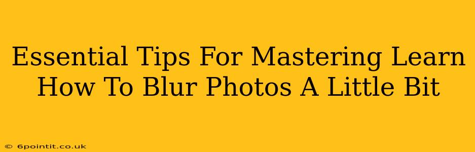 Essential Tips For Mastering Learn How To Blur Photos A Little Bit