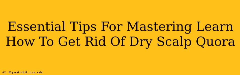 Essential Tips For Mastering Learn How To Get Rid Of Dry Scalp Quora