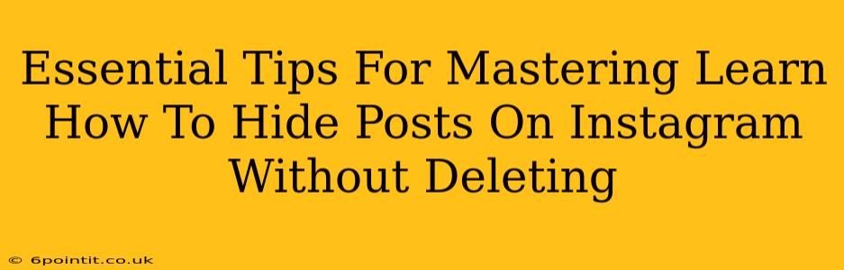 Essential Tips For Mastering Learn How To Hide Posts On Instagram Without Deleting