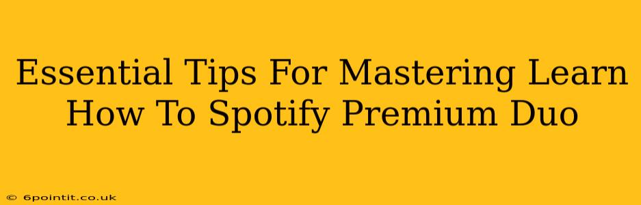 Essential Tips For Mastering Learn How To Spotify Premium Duo