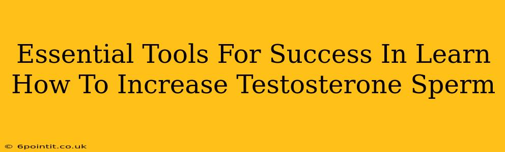 Essential Tools For Success In Learn How To Increase Testosterone Sperm