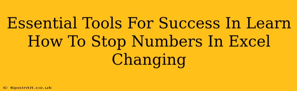 Essential Tools For Success In Learn How To Stop Numbers In Excel Changing