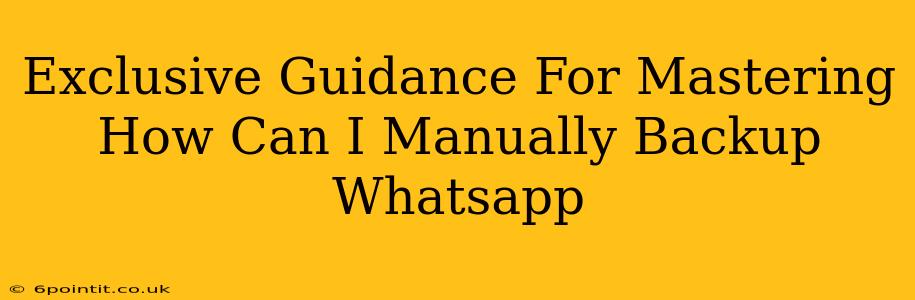 Exclusive Guidance For Mastering How Can I Manually Backup Whatsapp