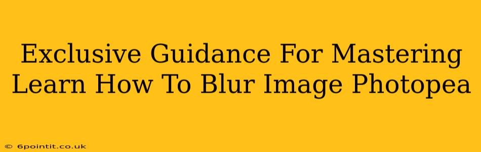 Exclusive Guidance For Mastering Learn How To Blur Image Photopea