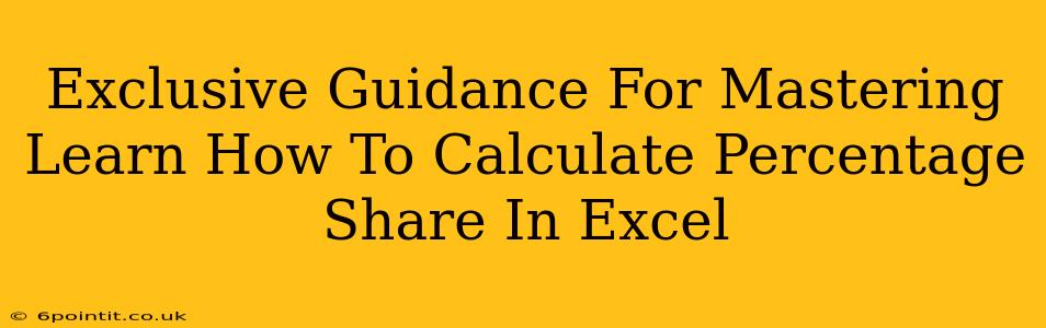 Exclusive Guidance For Mastering Learn How To Calculate Percentage Share In Excel