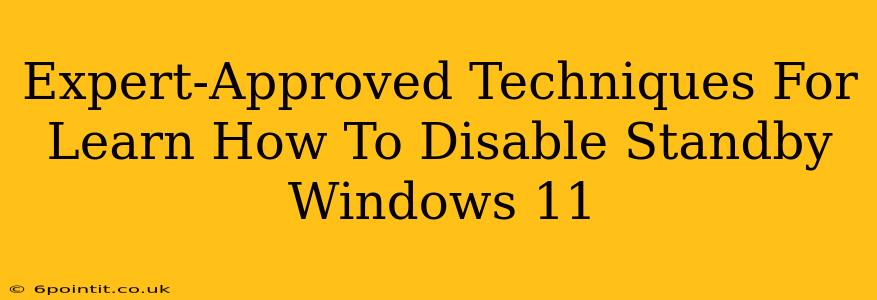 Expert-Approved Techniques For Learn How To Disable Standby Windows 11