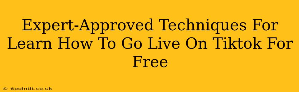 Expert-Approved Techniques For Learn How To Go Live On Tiktok For Free