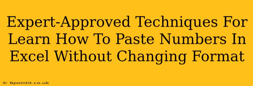 Expert-Approved Techniques For Learn How To Paste Numbers In Excel Without Changing Format