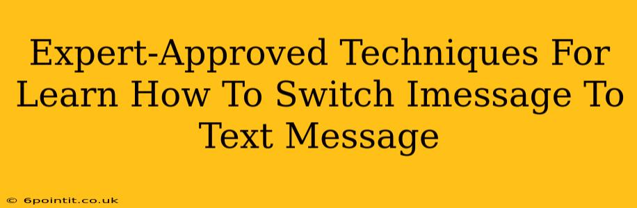 Expert-Approved Techniques For Learn How To Switch Imessage To Text Message