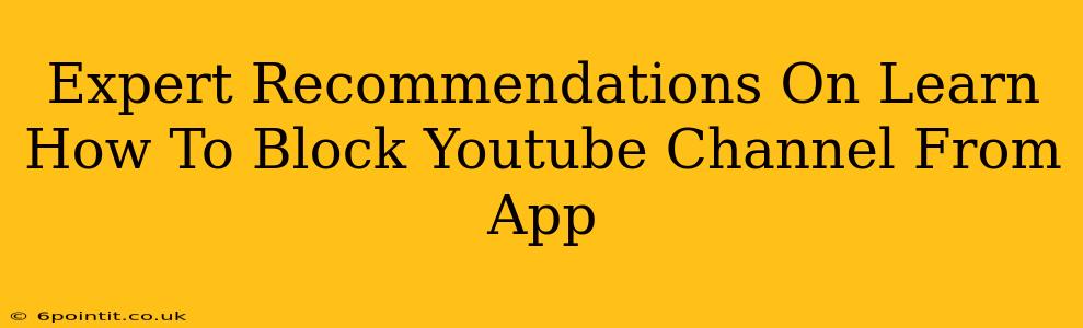 Expert Recommendations On Learn How To Block Youtube Channel From App