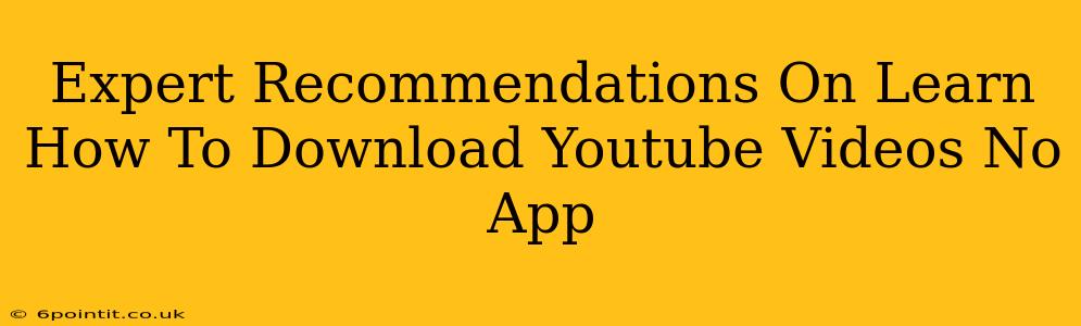 Expert Recommendations On Learn How To Download Youtube Videos No App