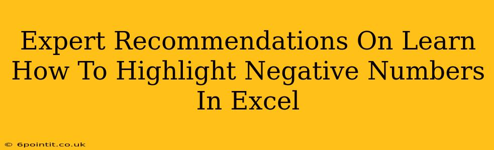 Expert Recommendations On Learn How To Highlight Negative Numbers In Excel